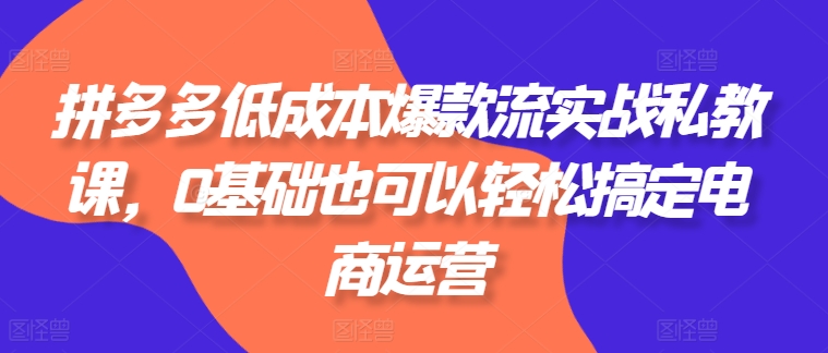 拼多多低成本爆款流实战私教课，0基础也可以轻松搞定电商运营