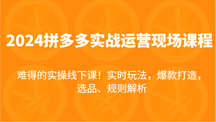 2024拼多多实战运营现场课，实时玩法，爆款打造，选品、规则解析，难得的实操线下课！