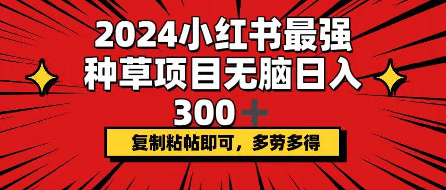 （12336期）2024小红书最强种草项目，无脑日入300+，复制粘帖即可，多劳多得