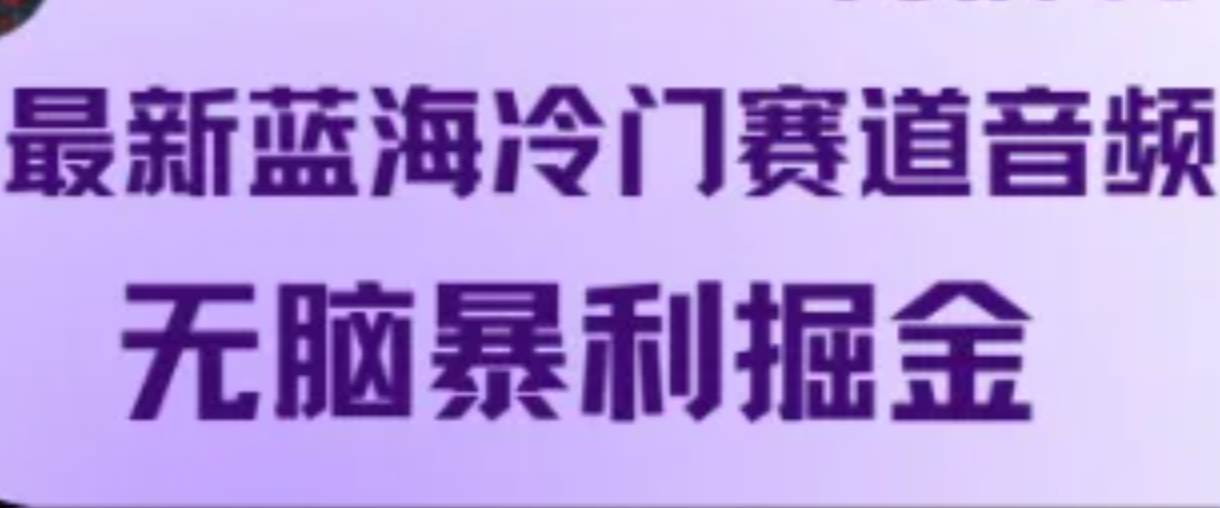 最新蓝海冷门赛道音频，无脑暴利掘金